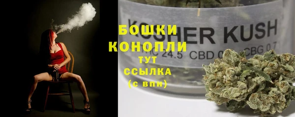 эйфоретик Елизово