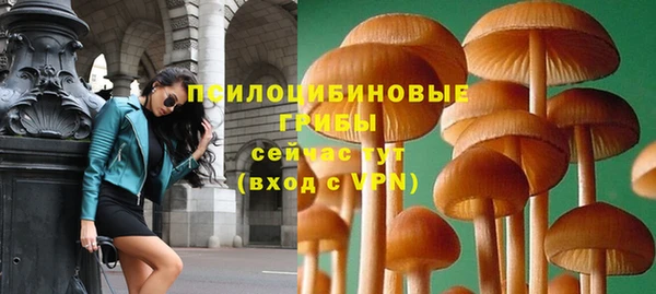 mdma Дмитровск