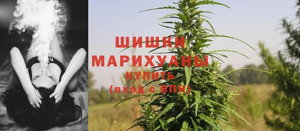 эйфоретик Елизово