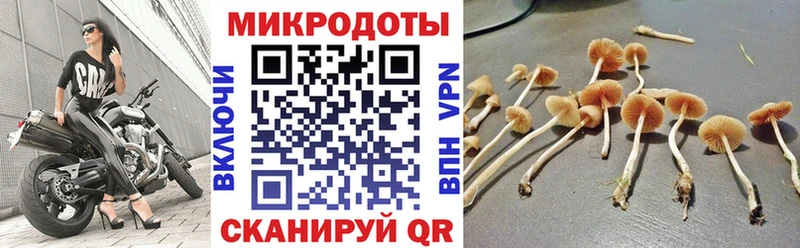 Галлюциногенные грибы мухоморы  Купить где  Грайворон 